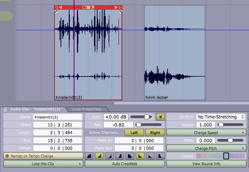 Panorama-Einstellung für die einzelnen Spuren Clip-Panorama Besser, aber aufwändiger ist es, jedem einzelnen Soundfile den Sitz im Stereo-Panorama zuzuweisen. Dies geschieht im Editor.