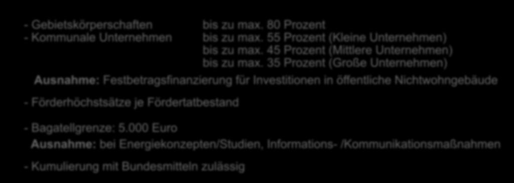 Förderung Zuwendung (Zuschuss) - Gebietskörperschaften bis zu max. 80 Prozent - Kommunale Unternehmen bis zu max. 55 Prozent (Kleine Unternehmen) bis zu max.