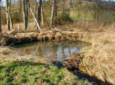 Landschafts- und Umweltplanung: Projekte Aschaffenburg, Ausgleichsmaßnahmen