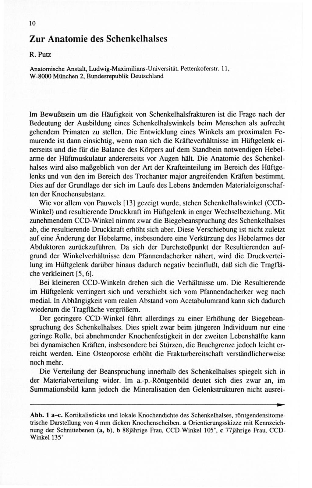 10 Zur Anatomie des Schenkelhalses R. Putz Anatomische Anstalt, Ludwig-Maximilians-Universität, Pettenkoferstr.