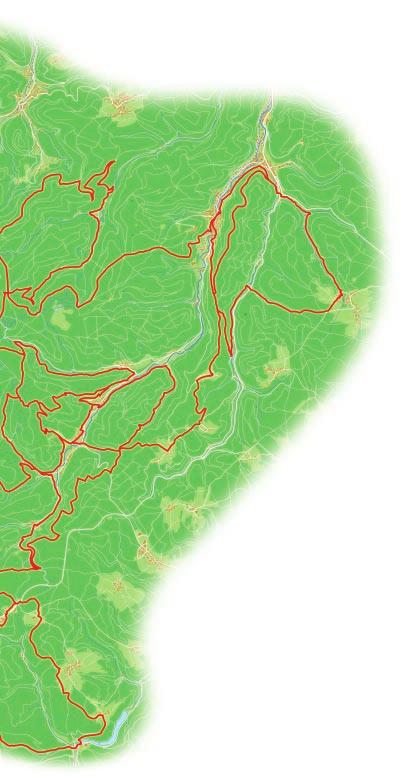 10 Bad Wildbad 10 2 1 1 3 3 4 3 2 Enzklösterle 13 4 2 Naturpark Schwarzwald mitte/nord LEADER+ Pilotprojekt MTB-Karte für den