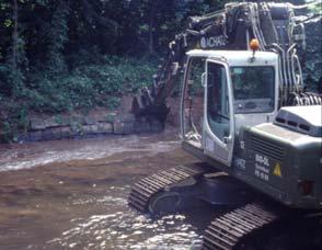 Maßnahmen zur Verbesserung der Uferstruktur Entfernen naturferner