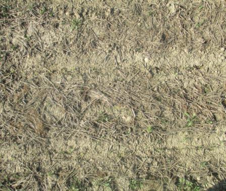 Bodenbearbeitung mit weniger als 5% Mulchbedeckung