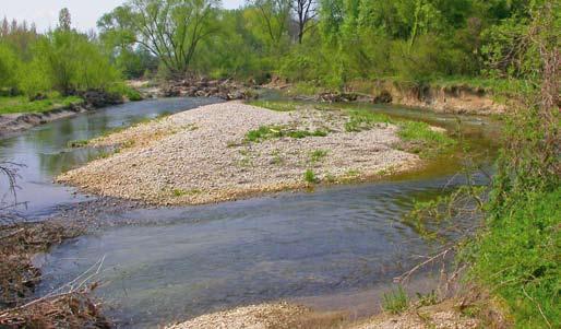 Flusslandschaft im Unterlauf der Pielach, durch Fischwanderhilfen für Donaufische heute vernetzt Wissenschaftliche Untersuchungen während des LIFE Huchen-