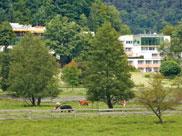 Hotel Pfalzblick 72 Zimmer Lage: mitten im Grünen am Ortsende, umgeben von einem 46.000 qm großen Hotelpark.