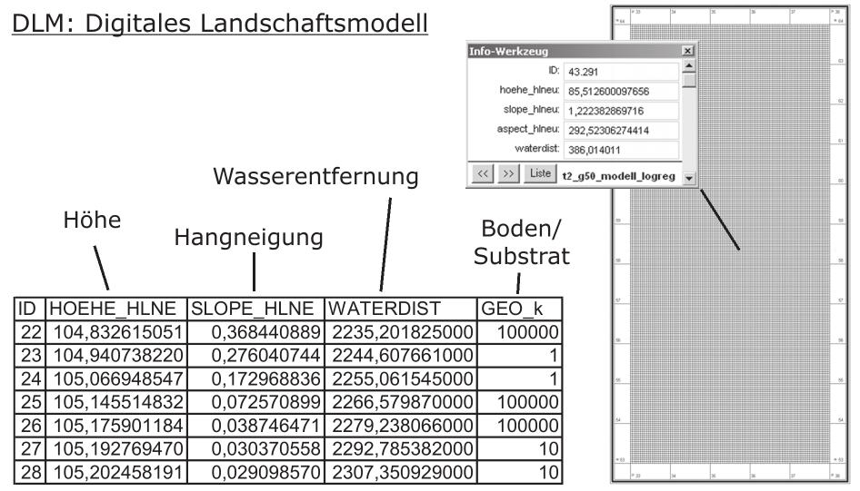 Ulla Münch Abb. 2 Digitales Landschaftsmodell (DLM) reich mit Hilfe historischer Karten für das Gewässernetz durchgeführt werden (Abb. 3; MÜNCH 2003a, 186-187).