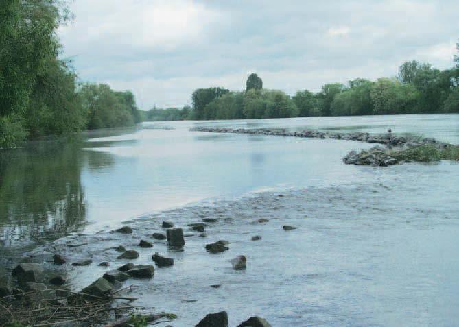 In der Region Stuttgart-Neckar ist der Verband Regi on Stuttgart Initiator und bei der Umsetzung ein wesentlicher Akteur in der regionalen Flusslandschaftsentwicklung.