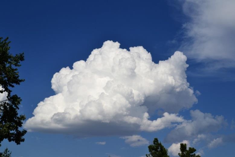 Im Abbildung 14 Cumulus (https://coclouds.com/wp-content/uploads/2012/07/single-fluffy-cumulus-cloudsunny-day-2012-07-26.