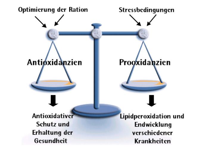 ANTIOXIDANTEN antioxidativen Schutzes für die Verhinderung und Einschränkung von Kettenreaktionen freier Radikale.