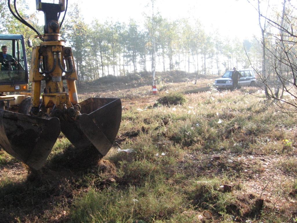 Initiierung von Zwergstrauchheiden -