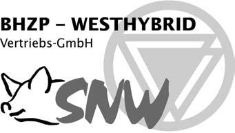 Für jeden Hof die passende Hybridsau Die BHZP-WESTHYBRID Vertriebs-GmbH, an der die WESTFLEISCH eg 50 % der Anteile hält, vermarktet Jungsauen aus drei Herkünften Bereits seit Jahren vermarkten die