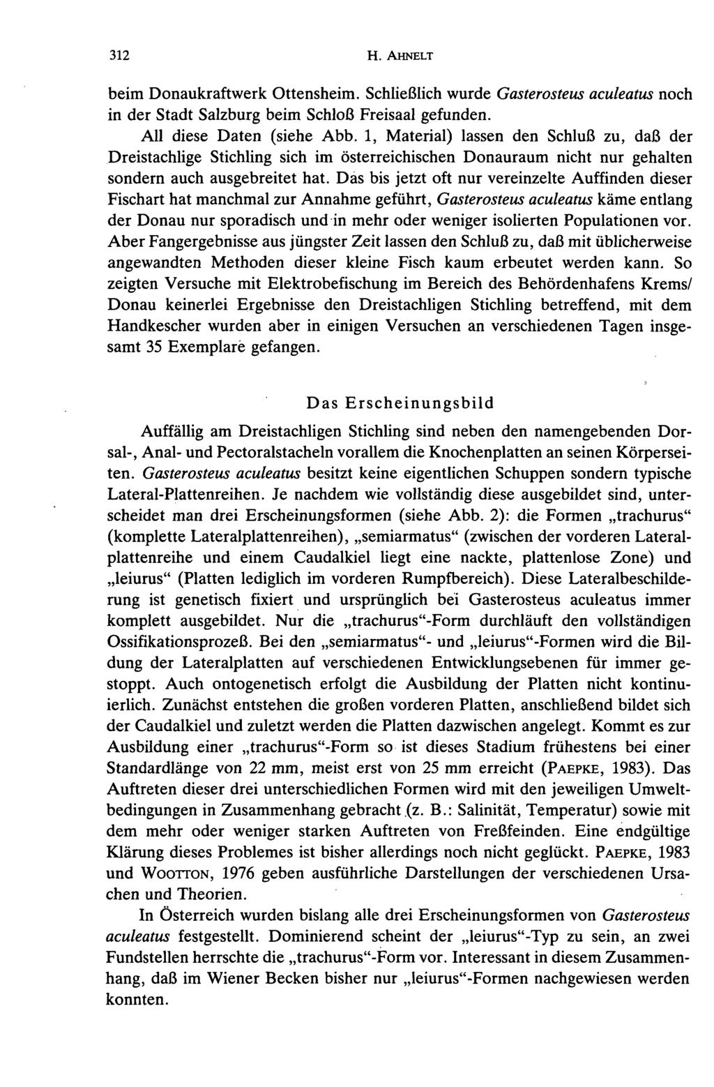 312 H. AHNELT beim Donaukraftwerk Ottensheim. Schließlich wurde Gasterosteus aculeatus noch in der Stadt Salzburg beim Schloß Freisaal gefunden. All diese Daten (siehe Abb.