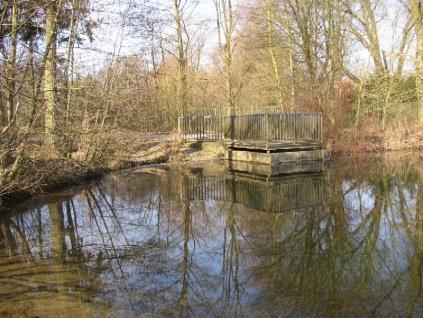 Weg; seewärts steile Böschung mit Bäumen (Breite: 2-5 m), am Ufer hauptsächlich große Bäume, wenig Büsche, nur selten kleine Schilfhorste, Uferneigung: steil, mit Abbruchkanten, freigespülte