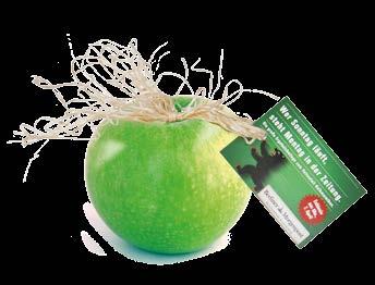 details 1, 59 Ausgewählte Premium-Äpfel mit Naturbast und Werbekärtchen (Druck