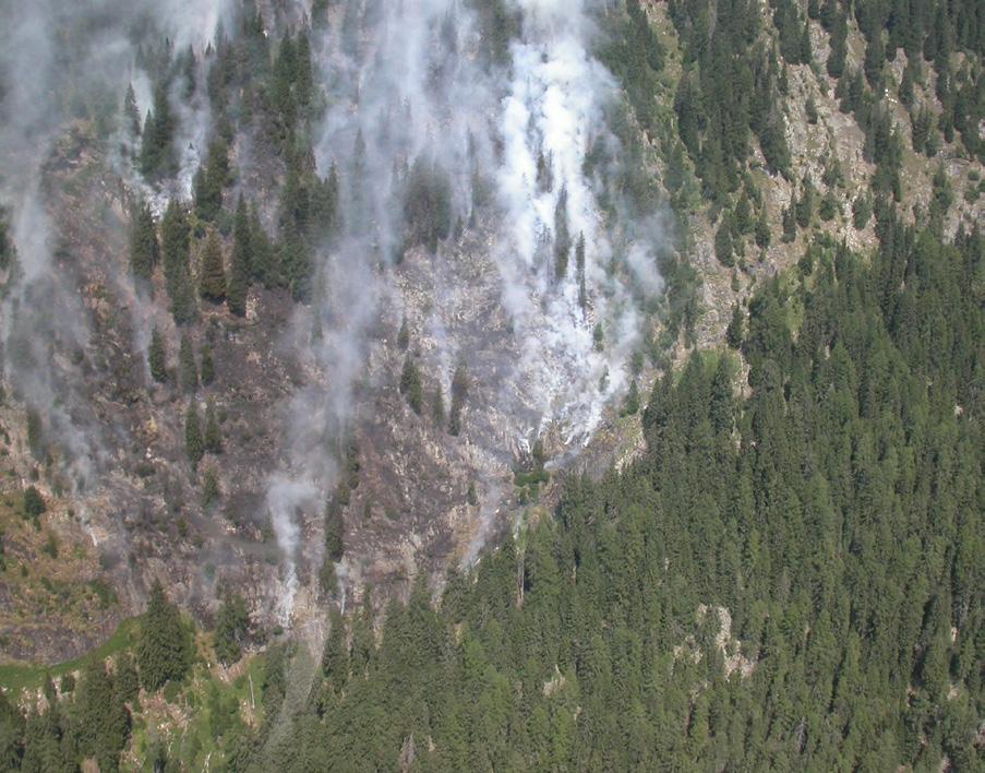 Entwicklung des Waldbrandes Der Verlauf des Waldbrandes wird durch das Brandgut, die Topographie und die Windsituation stark beeinflusst.