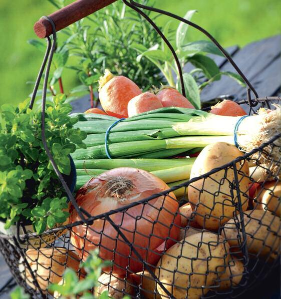 Bewusste Ernährung 29 Gemüse aus der Kiste Kurze Wege zum frischen Grünzeug Do 29.6. Do 06.7. Wir bauen gemeinsam kleine Gärten in stabilen Kisten.