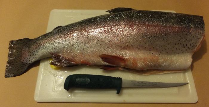 Vorbereitungen Bevor Sie den Lachs oder die Lachsforelle filetieren, muss der Fisch gründlich
