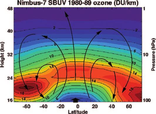 44 2 Die Erdatmosphäre: Ihre chemische Zusammensetzung seiner vertikalen Strukturierung lässt sich deutlich erkennen, dass das Ozonmaximum (rötlich gefärbte Bereiche in Abb. 2.18) in den Tropen wesentlich höher als in den polaren Breiten liegt, nämlich bei etwa 26 km am Äquator bzw.