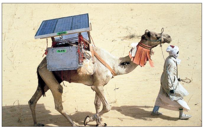 Beispiel: Camel fridge Energy Harvesting Grundlagen und Praxis enerigieautarker Systeme (Foto: http://www.napssystems.