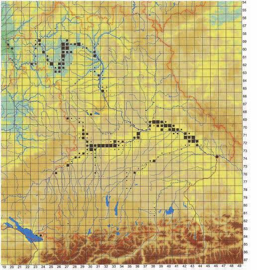 auetypischen aquatischen und terrestrischen Lebensräume unterschiedlicher Boden- und