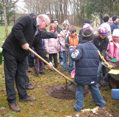 Mit Feuereifer waren die Erstklässler der Grundschule Großkuchen bei der Sache, als es darum ging, ihren Einschulungsbaum in die Erde zu pflanzen.