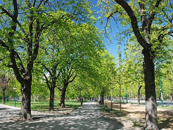 Zahlen Kaum eine andere Stadt verfügt über so viel Öffentliches Grün : Auf 19 Quadratkilometer Parkfläche werden 2.000 Park- und Grünanlagen, 100.