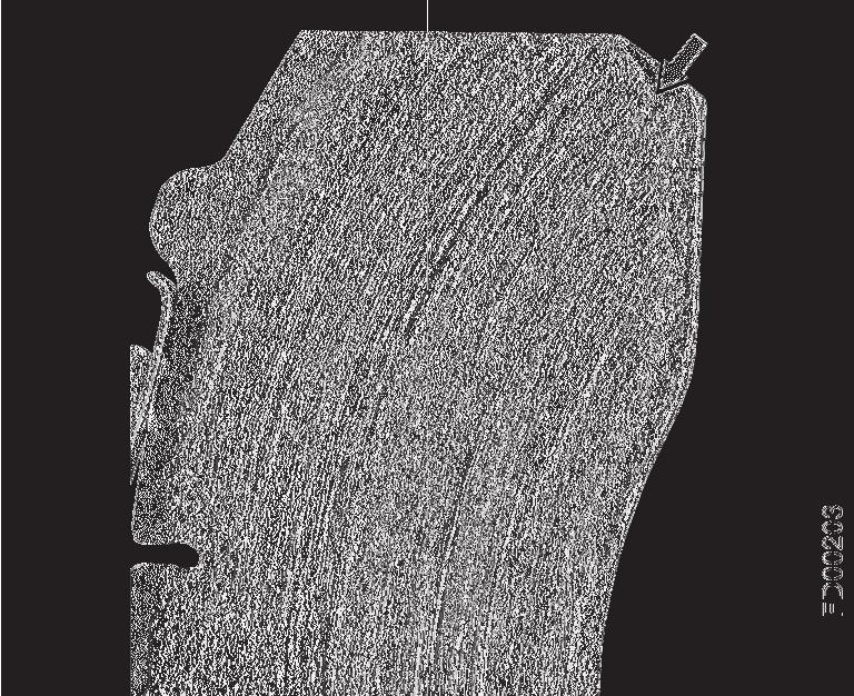 5 Funktions-und Sichtprüfungen (für Axial- und Radial-Scheibenbremse ) 5.