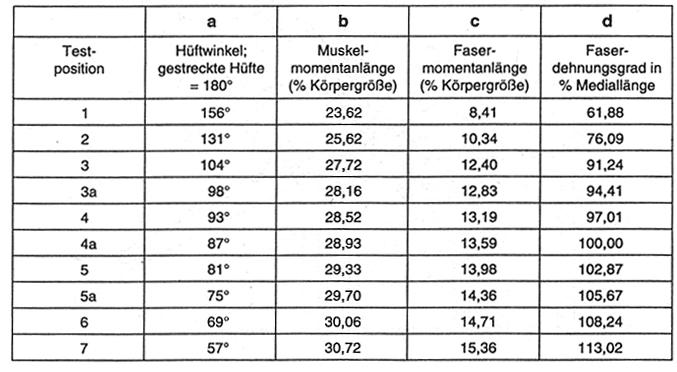 Tabelle 1: Ausprägung des Hüftwinkels (a) und verschiedener Parameter des M. biceps femoris caput longum (b-d) in den 10 Testpositionen der Meßstation (s. Abb.