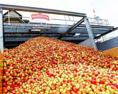 Nachfrage wächst weiter Angebot Mostäpfel steigern Preise in