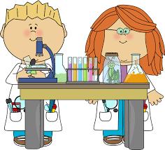 complete science experiments each week and learn new science principles.
