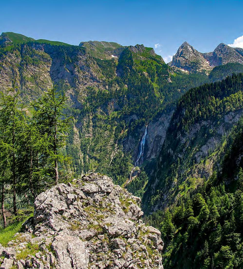 Nationalparkverwaltung Berchtesgaden Vertikale Wildnis