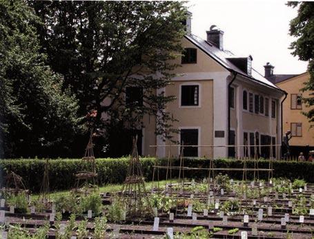 8 Abb. 6: Linnaeus trädgården: Der Botanische Garten von Uppsala mit Linnés Wohnhaus. Aufnahme: Wolfgang Ahrens. Katalog zur Ausstellung, Abb. 47 ten Feierlichkeit begehen kann.