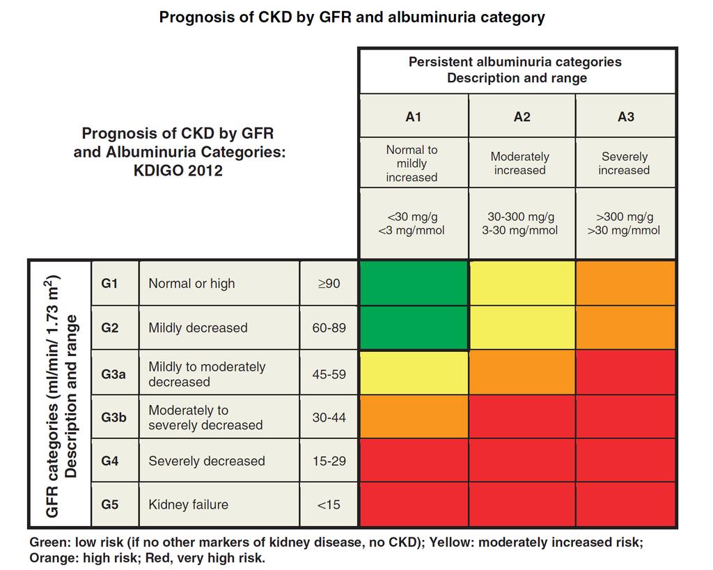 KDIGO 2012 Clinical Practice Guideline for the Evaluation and