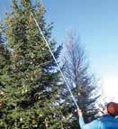 2016 Nachdem wir ja bei unserer Wanderung im September erfahren hatten, dass es in der Weihnachtszeit am Dreilandereck einen geschmückten Baum zu sehen gibt, machten wir uns am 21.12.