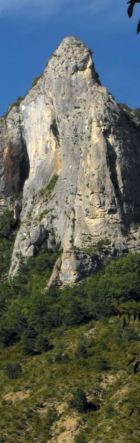Die fränkische Schweiz ist eines der beliebtesten deutschen Klettergebiete.