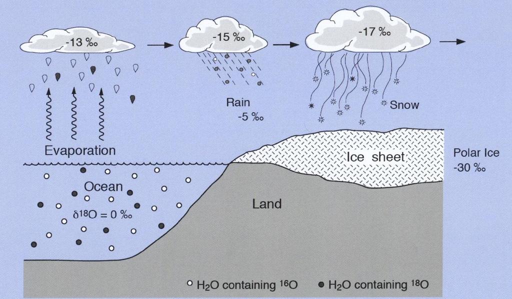 Der Niederschlag, der in die Eismassen eingetragen wird, hat große Entfernungen zurückgelegt und ist somit an 16 O angereichert und isotopisch leichter als im Ozean (Abb. 24).