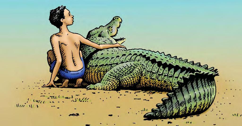 iese Legende erzählt davon, wie das Krokodil, als es noch ein Baby war, von einem kleinen Jungen gerettet wurde.