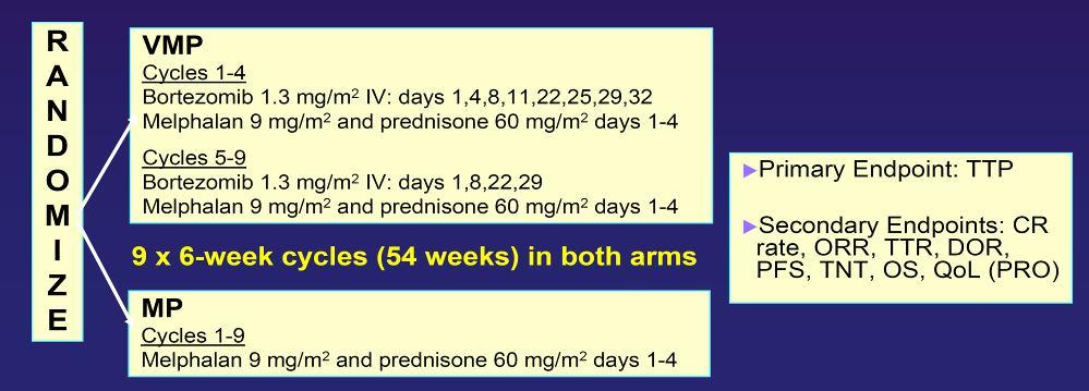 VISTA: VELCADE as Initial Standard Therapy in multiple myeloma: