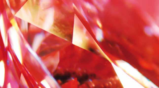Das Polierpad wird einfach auf eine vorhandene Läppscheibe aufgeklebt und zusammen mit einer geeigneten Diamantsuspension von Microdiamant verwendet.