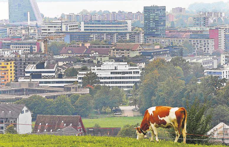 Unternehmen 28 der Standard Mittwoch, 8. Februar 2017 Schweizer sollen Steuerzuckerln ade sagen Zürich/Wien Der Zeitpunkt könnte nicht besser gewählt sein. Die Schweizer Bürger stimmen am 12.