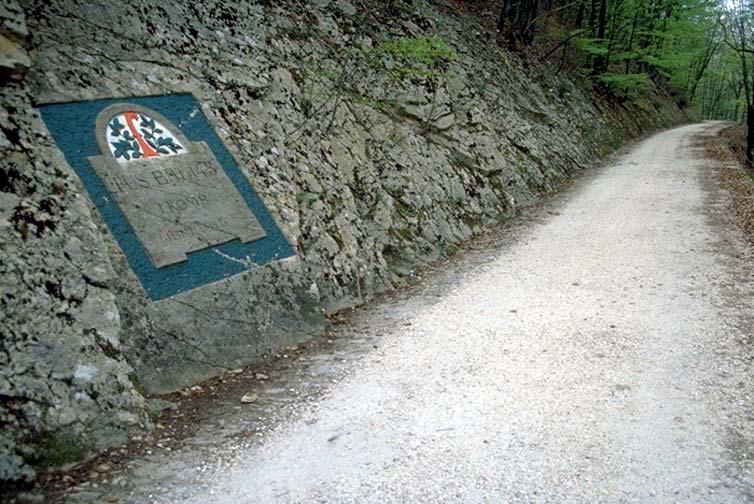 2001) Zwischen Chambersberg und der Kantonsgrenze liegt diese detailreiche Inschrift, angebracht im «JUNI 1915»