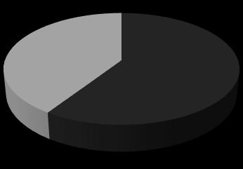 Ergebnisse 5.4 Geschlechtsverteilung des Patientenguts Von den 81 untersuchten Ellbogen sind 62 % (n = 50) der Patienten männlich und 38 % (n = 31) weiblich.