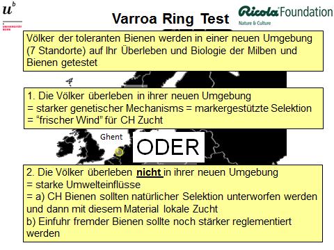 Massnahmen zum Schutz der Bienen 1. Verbesserung der Bienenernährung (z.b. Blühstreifen) 2.