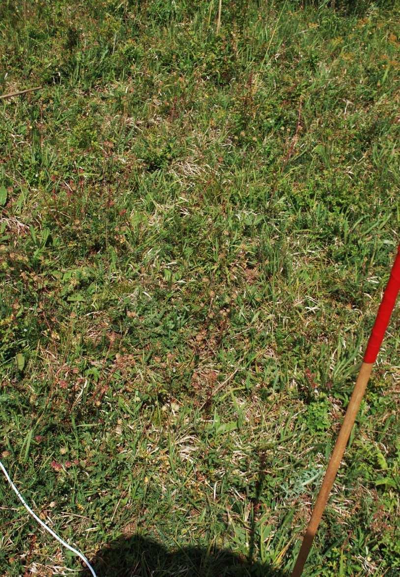 Kooperationsprogramm Naturschutz im FFH-Gebiet Nr.