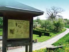 Im Kulturdenkmal Steinscheune befindet sich ein privates Bauernhof-Museum.