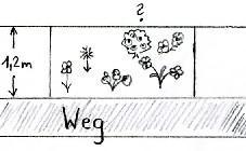 6) 3 Umfang und Flächeninhalt ermitteln und berechnen Neben einem Weg befindet sich ein 1,2 m breiter Wiesenstreifen. Darauf soll ein Blumenbeet mit einer Gesamtfläche von 8,1 m² angelegt werden.