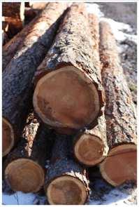 Fazit Biomasse und Solarthermie ergänzen sich optimal Holz als Brennstoff lagerbar und zeitlich flexibel einsetzbar kostengünstiger als fossile Brennstoffe