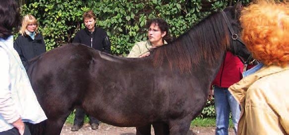 ANZEIGE Pferde-Chiropraktikerin Fatma Ormeloh zum Thema Aufsitzen Frau Ormeloh, gibt es aus tiermedizinischer Sicht wichtige Anmerkungen zum Aufsitzen?