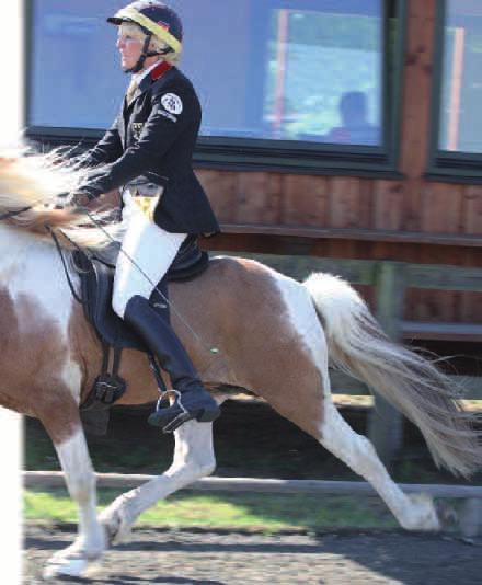 72 DIP 4/12 Veranstaltungen kür wurde die Pferdewirt-auszubildende vom kronshof, Larissa kejwal mit ihrem nebbi vom kronshof mit 6,44 Punkten.