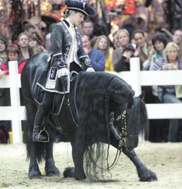 77 Jetzt bewerben Pferd & Jagd 2012 lädt zu tollen Wettkämpfen für Freizeitreiter und Profis Minuten betragen.